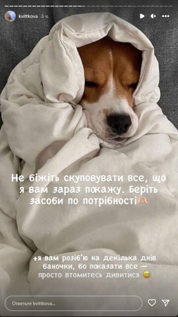 Даша Квіткова, скріншот: Instagram Stories