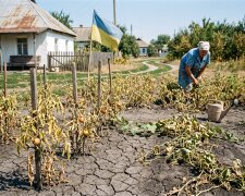 посуха город суха земля врожай