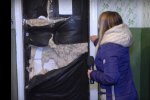 Винницкая собачница не выгуливает питомцев - их фекалии стекают к  соседям (видео)