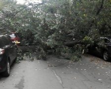 Непогода разнесла автомобили в центре Киева