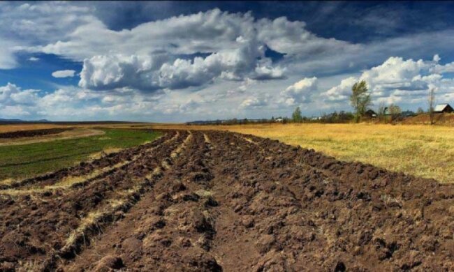 Половину госземель захватили самовольно