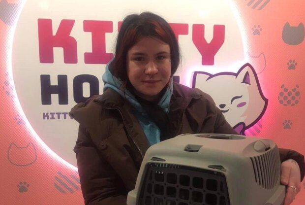 Киевлянка выбросила кота с 21 этажа / фото: Facebook