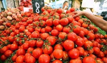 Росіяни недостатньо голодні для турецьких помідорів