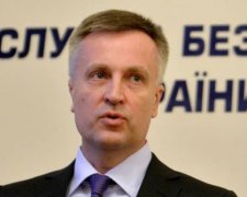 Янукович скоро будет передан украинской стороне - Наливайченко