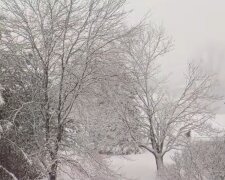 Погода взимку, фото: кадр з відео