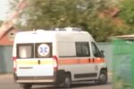 У Запоріжжі орудують зловісні паразити, один укус - і параліч