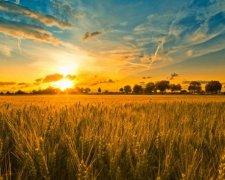 25 червня: яке сьогодні свято