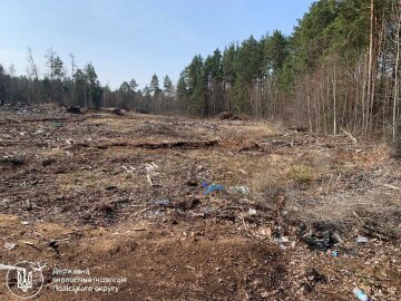стихійне звалище \ фото Держекоінспекції Поліського округу