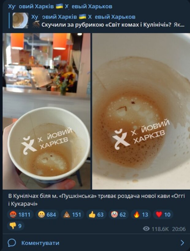 Кава з тарганами, скріншот: Telegram