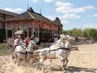 шоу конных каскадеров