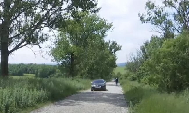 Тернопільщину атакували тополі-вбивці