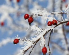 Погода на 7 ноября: внимательнее смотрите на дорогу