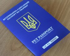 Паспорт для тварини: фото з вільних джерел