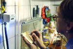 комунальні платежі