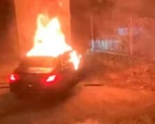 вбивство Данила Кузьміна