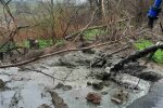 Водойма під Дніпром, фото: Facebook