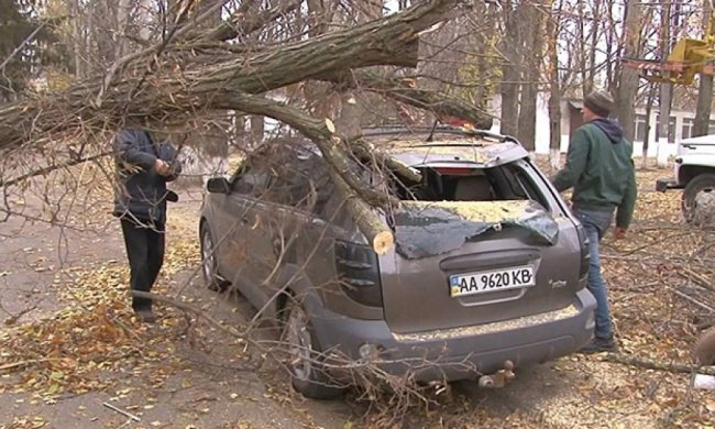 Ураган в Одесі: пенсіонерку придавило трубою, дерево впало на іномарку (фото)