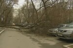 Ураган у Москві, фото YouTube