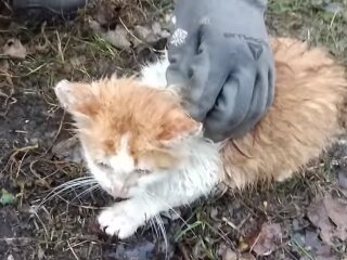 Фото ілюстративне, скрін з відео