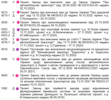Плани на 2021 рік, законопроекти - скріншот