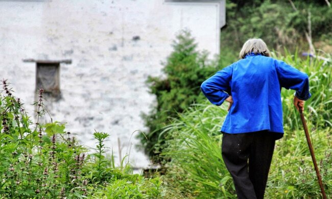 Довгожителі, фото: unsplash.com