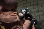 Похищение детей, фото dw.com