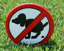 Нацполіція змусить киян прибирати за своїми собаками