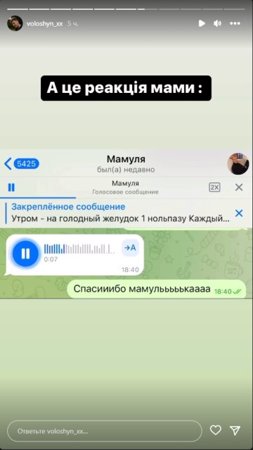 Олександр Волошин, скріншот: Instagram Stories