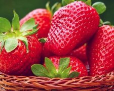 Клубника спасает от рака желудка и повышает либидо