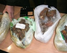 Українки намагалися вивезти майже 10 кг бурштину в Угорщину (фото, відео)
