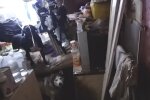 Освобождение собак, facebook.com/ngo.vidsich