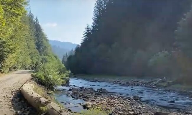 Карпати, кадр з відео, зображення ілюстративне: YouTube