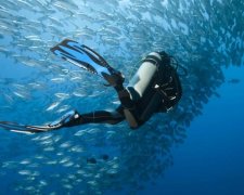 Рыбак чуть не стал обедом для уникального морского чудовища