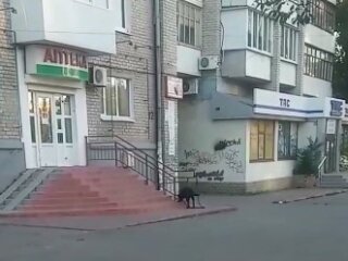 аптека,скриншот из видео