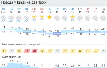 Погода, лютий 2021 - скріншот