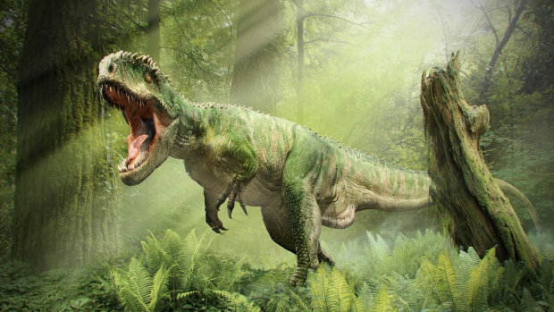 Зачем динозавры глотали камни и носили длинный хвост? Самые интересные факты о древних ящерах, которые точно вас удивят