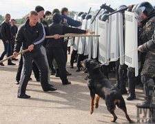 Житомирські міліціонери відрепетирували розгін масових заворушень (фото)