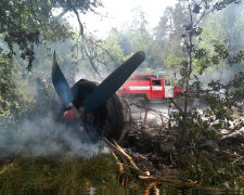 Під Полтавою розбився літак з українцями: подробиці трагедії