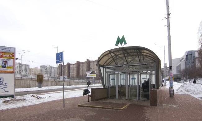 Станция метро "Демеевская" / фото: Википедия