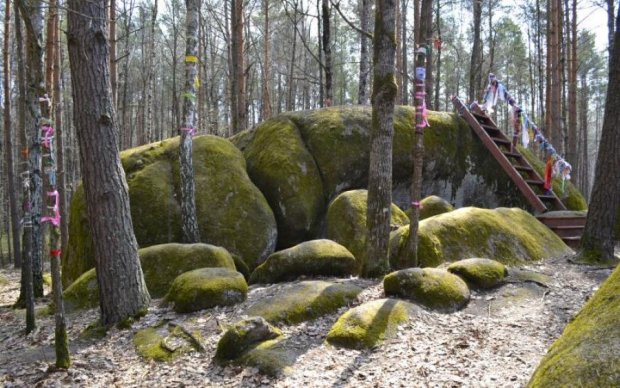 Гигантские объекты в украинском лесу озадачили ученых