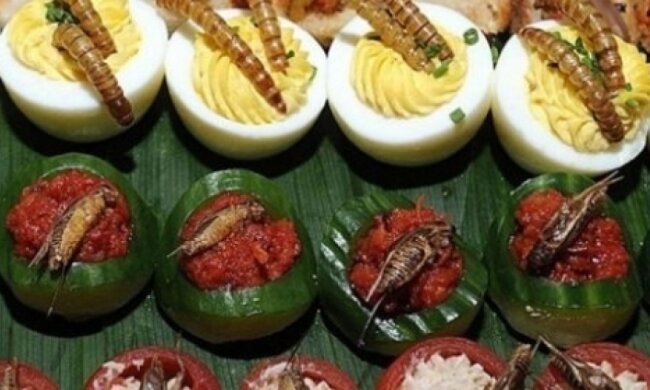 В уельському ресторані пригощають комахами