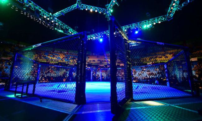 Престижный UFC-турнир отменили