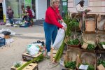 Пучки аира — традиционная зелень, которой украинцы украшают дома на Троицу