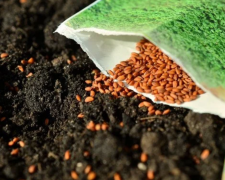 Посев урожая, огород, изображение из свободных источников