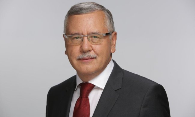 "Я йду на один президентський термін", – Анатолій Гриценко подав документи в ЦВК