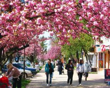 Курс доллара на 30 апреля позволит накрыть праздничный стол