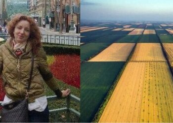Претендент на посаду начальника Держгеокадастру Одеської області Гребенюк вже на всю набирає помічників і прицінюється до землі