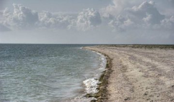 Тіло жінки знайшли на березі моря в Херсонській області