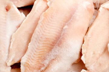 Пангасиус: фото из свободных источников