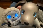 Родителей предостерегли от умных игрушек: чем рискуют дети во время общения с ИИ